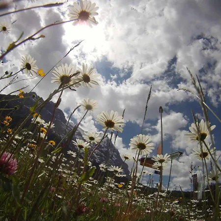 Town House Sleeps 12 Guests Ιντερλάκεν