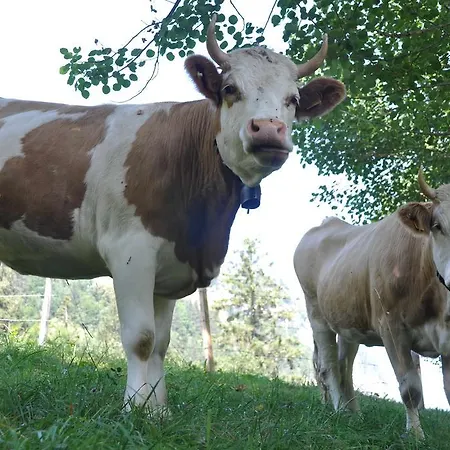 Διαμέρισμα Town House Sleeps 12 Guests