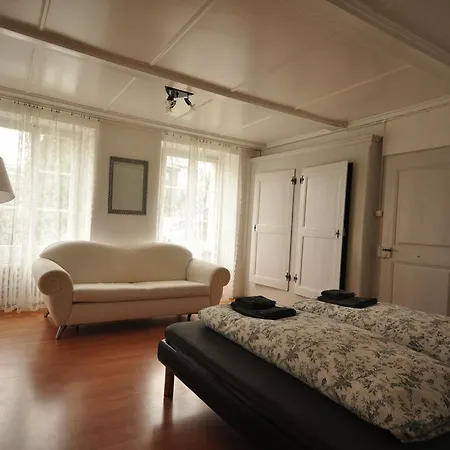 Town House Sleeps 12 Guests * Ιντερλάκεν