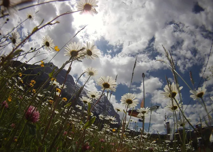 Town House Sleeps 12 Guests Interlaken