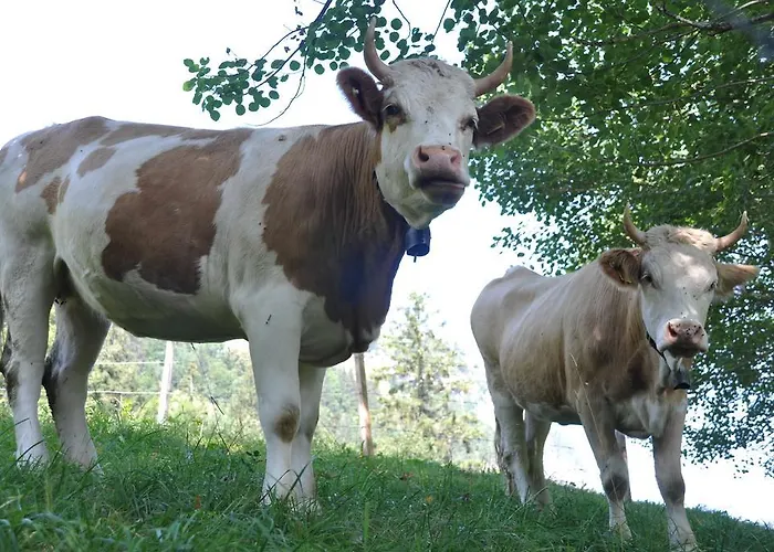 Lägenhet Town House Sleeps 12 Guests